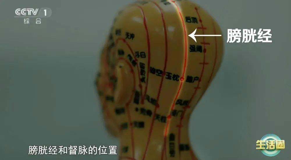 不同健康问题 护发与健康小贴士快收藏AG真人百家家乐平台不同位置白发反映(图6)