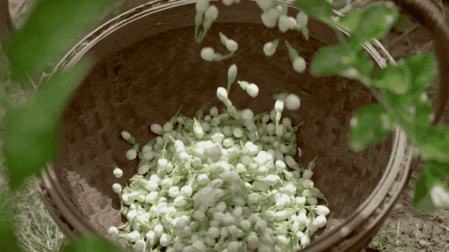 被抢空的牌子这次居然100+就能拥有AG真人平台真爱大牌返场 一上线就(图46)